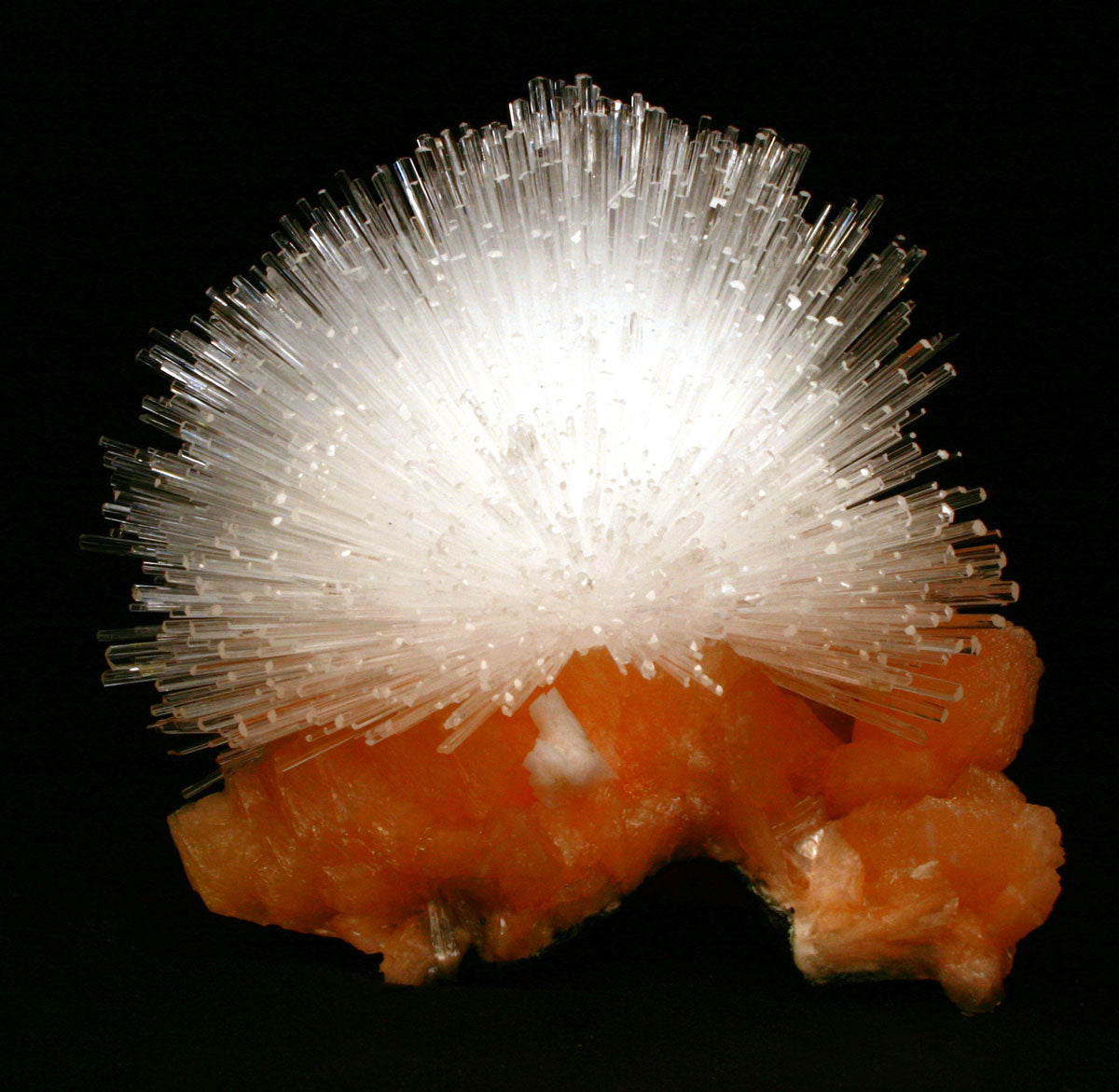 Scolecite