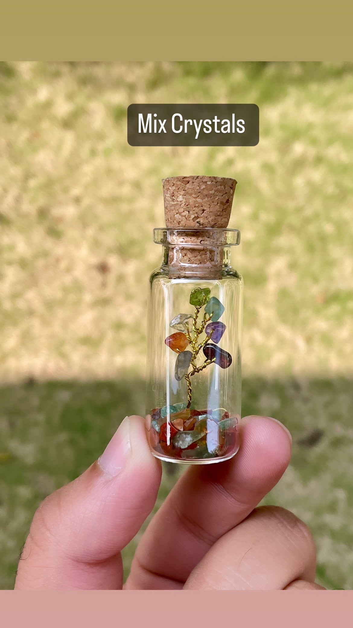 Mixed Crystal’s Tree Bottle