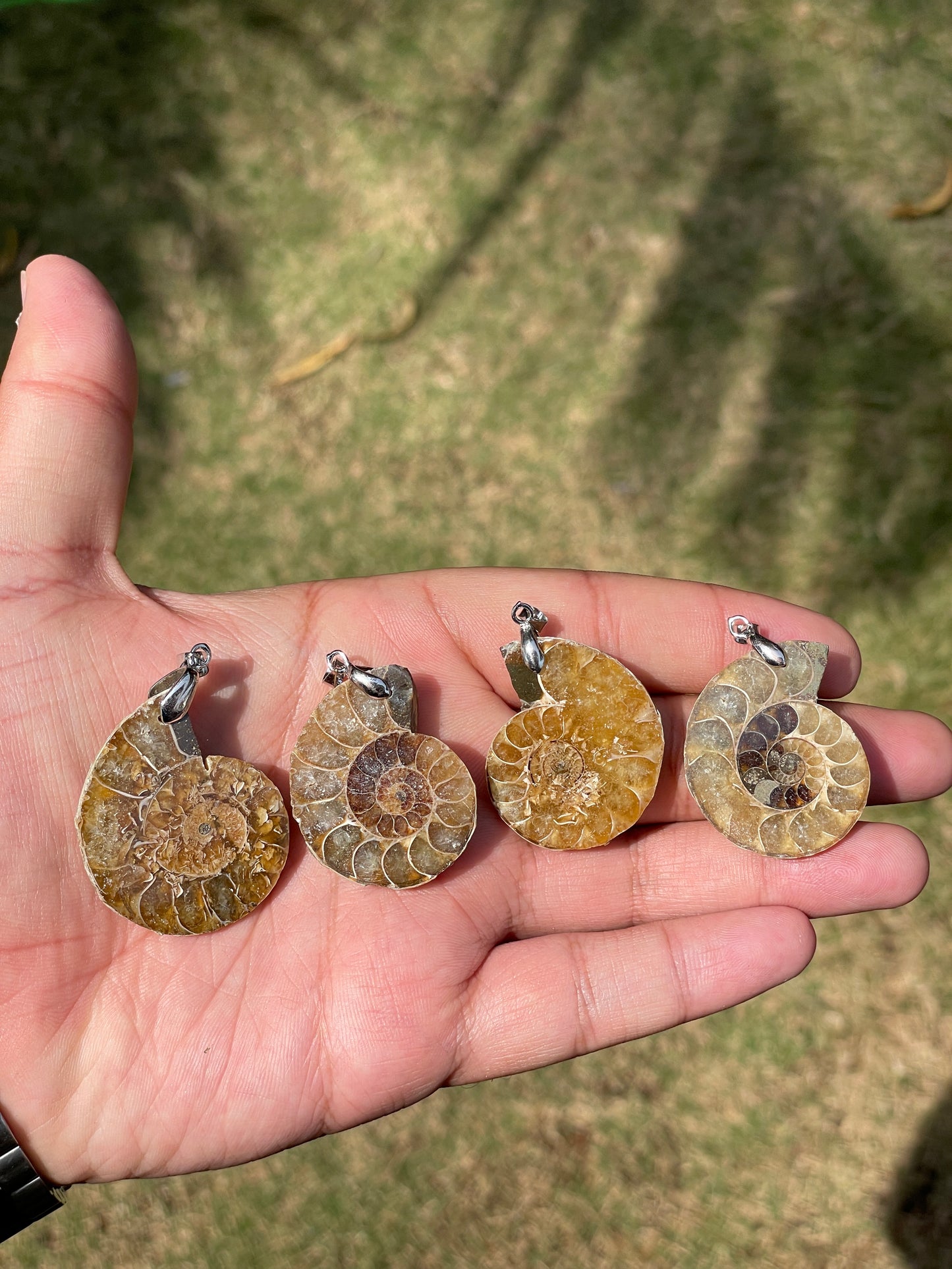 Ammonite Fossil Pendant’s